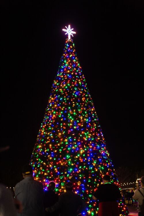 Huge Christmas tree